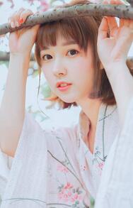 ����С˵��