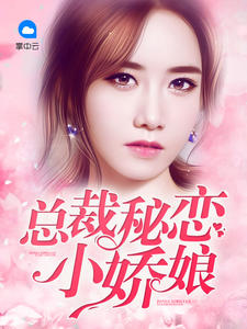 ����С˵��